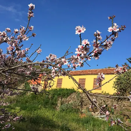 Haciendas Del Valle-montemayor Vila *